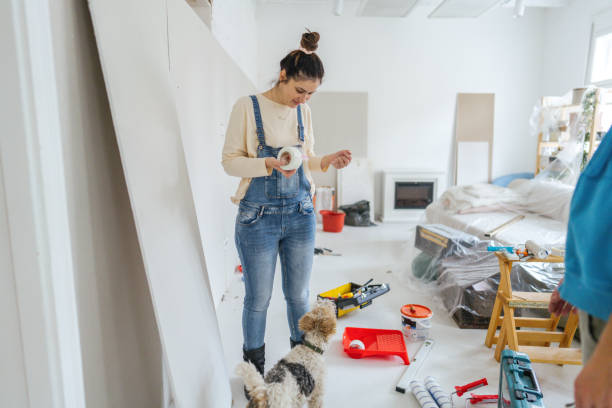 Best Drywall Installation  in Harlowton, MT